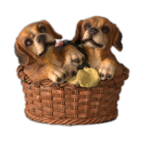 Две собаки в корзине