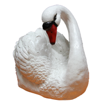 Лебедь белый или черный ( левый или правый) 