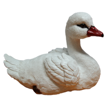 Лебеденок белый