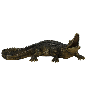 Крокодил большой